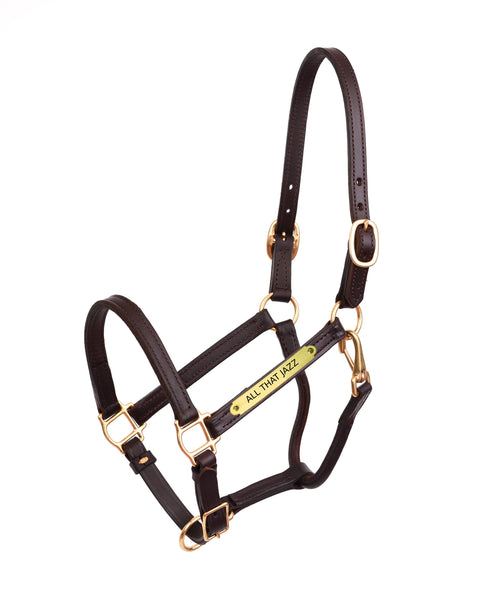Perri’s® 3/4" Premium Leather Show Halter with Nameplate