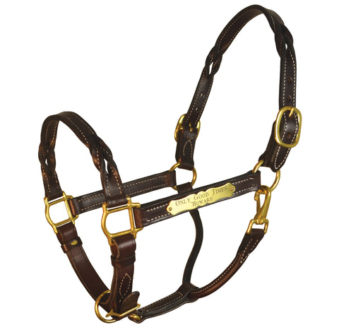 Perri’s® Twisted Leather Halter with Nameplate