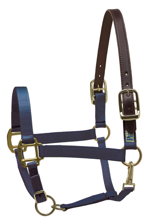Perri’s® Premium Nylon Safety Halter with Nameplate