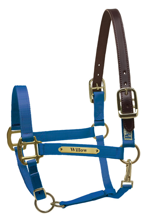 Perri’s® Premium Nylon Safety Halter with Nameplate