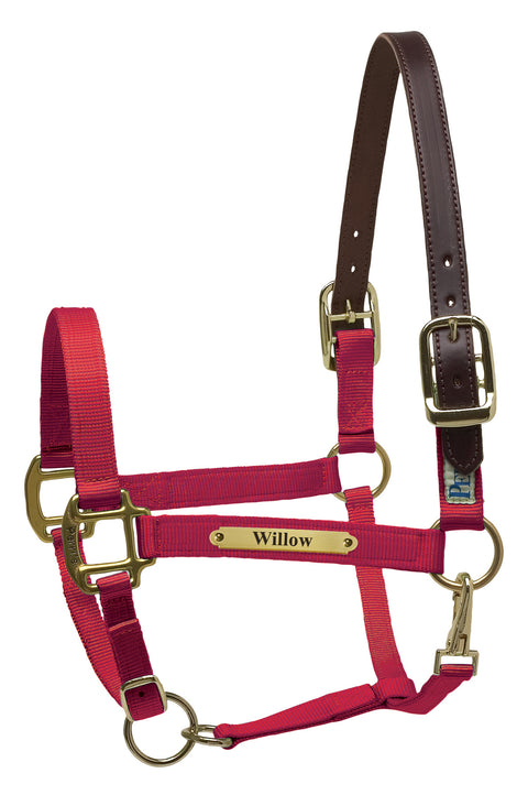 Perri’s® Premium Nylon Safety Halter with Nameplate