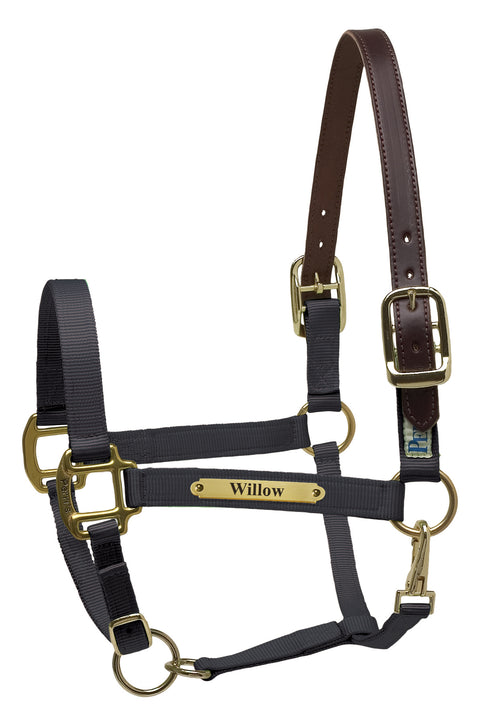 Perri’s® Premium Nylon Safety Halter with Nameplate