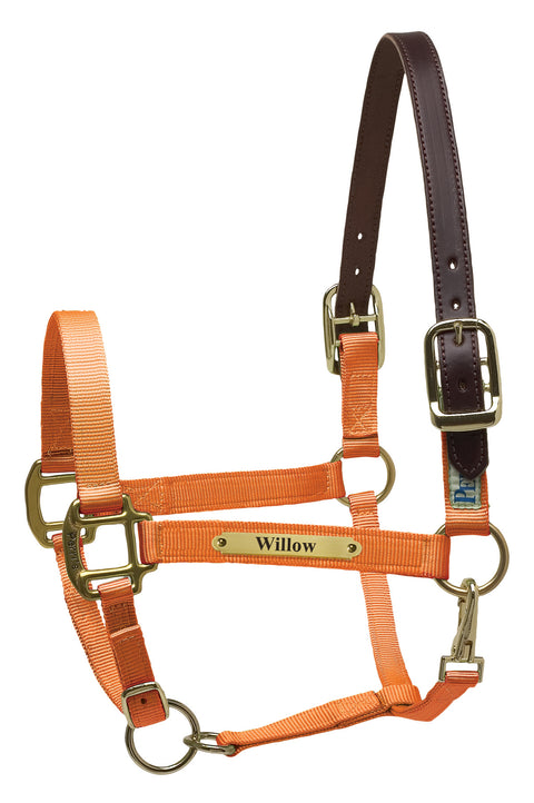 Perri’s® Premium Nylon Safety Halter with Nameplate