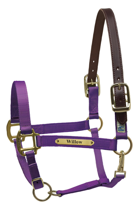Perri’s® Premium Nylon Safety Halter with Nameplate