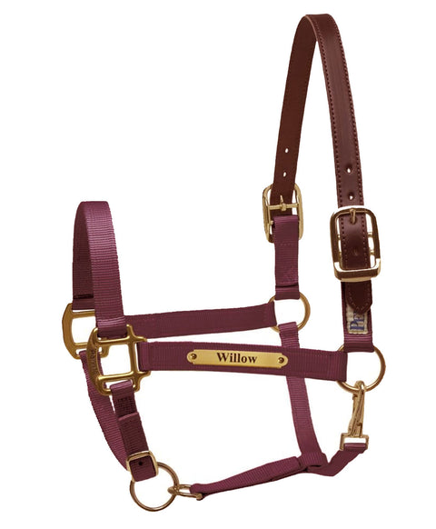 Perri’s® Premium Nylon Safety Halter with Nameplate