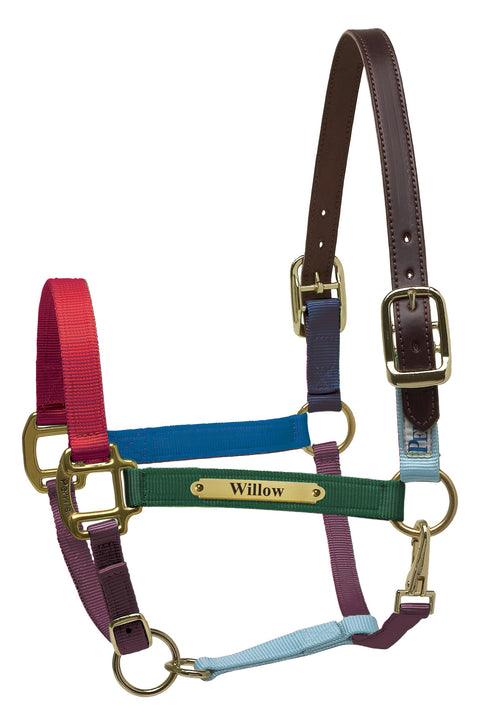 Perri’s® Premium Nylon Safety Halter with Nameplate