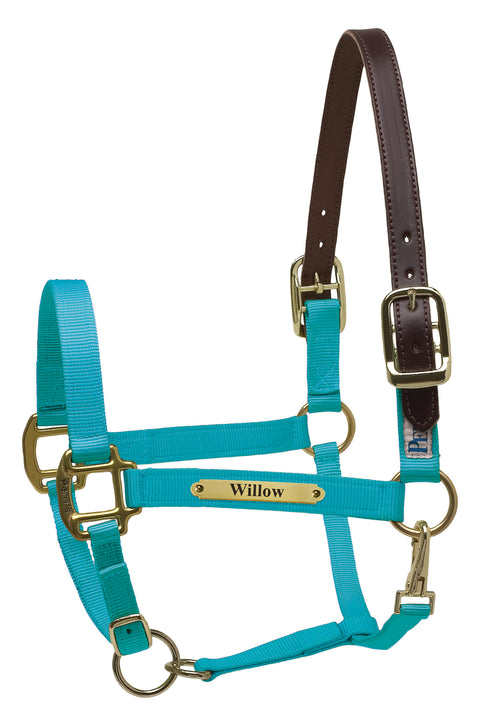 Perri’s® Premium Nylon Safety Halter with Nameplate