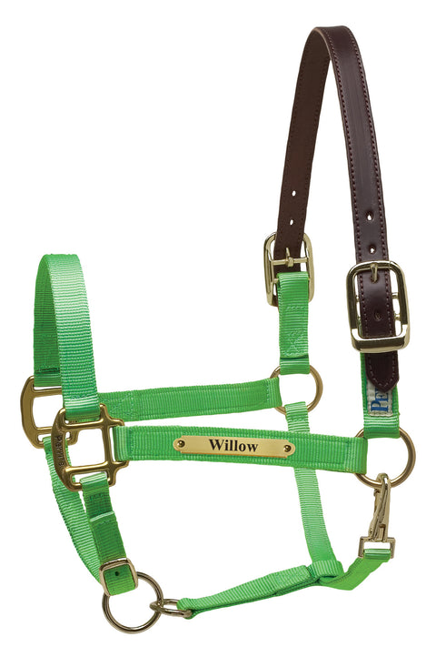 Perri’s® Premium Nylon Safety Halter with Nameplate