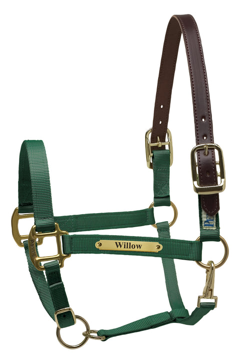 Perri’s® Premium Nylon Safety Halter with Nameplate