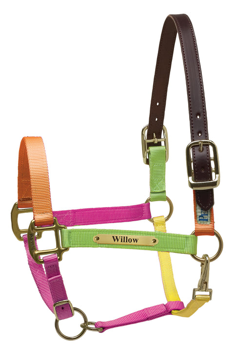 Perri’s® Premium Nylon Safety Halter with Nameplate