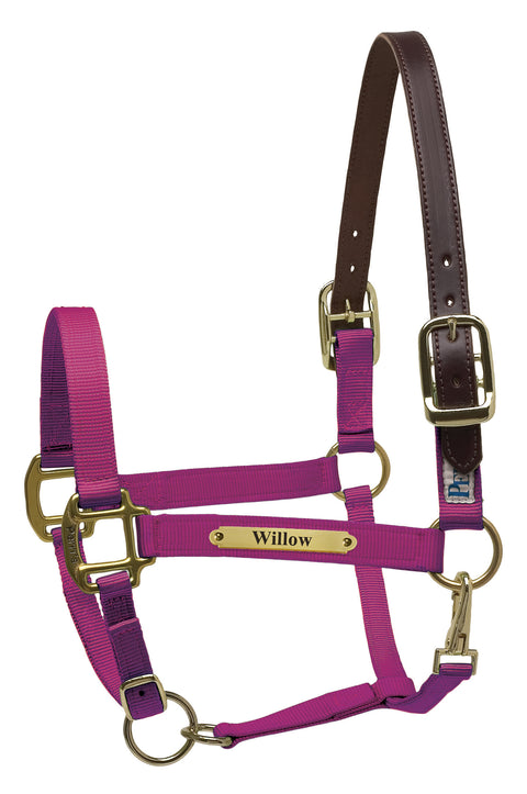 Perri’s® Premium Nylon Safety Halter with Nameplate