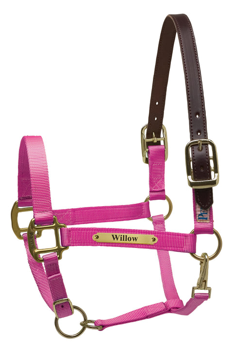 Perri’s® Premium Nylon Safety Halter with Nameplate