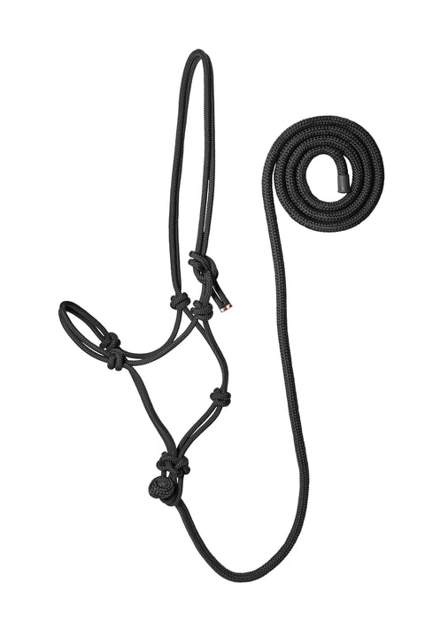Suffolk™ Rope Halter with Lead