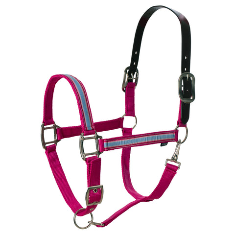 Equinavia Pegasus Ribbon Breakaway Halter