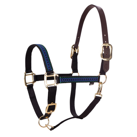 Equinavia Pegasus Ribbon Breakaway Halter