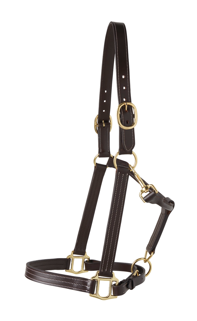Horse Halters and Leads – Dover Saddlery