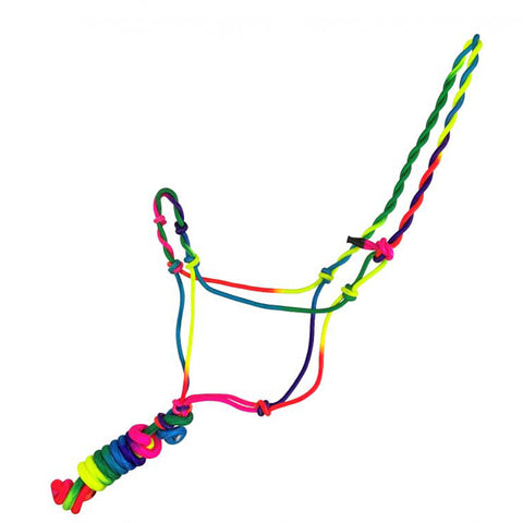 Horse Size Bright Cowboy Knot Halter with Removable Lead