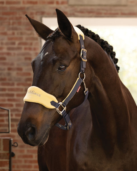 LeMieux® Vogue Halter & Rope Lead Set