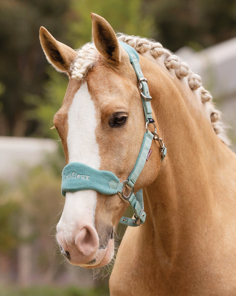 LeMieux® Vogue Halter & Rope Lead Set