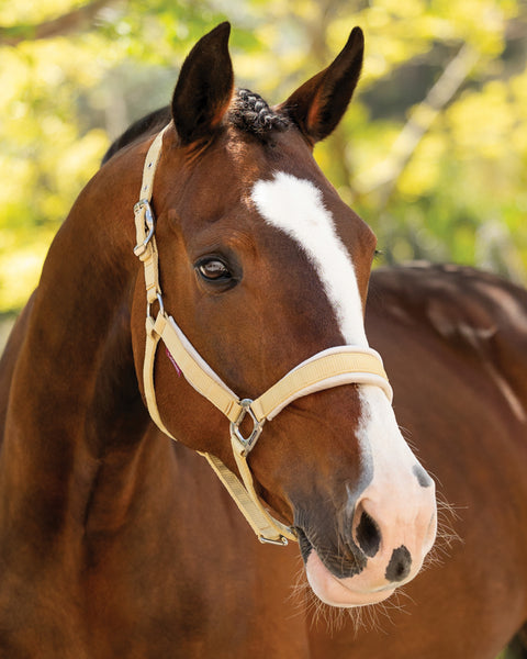 LeMieux® Versailles Halter