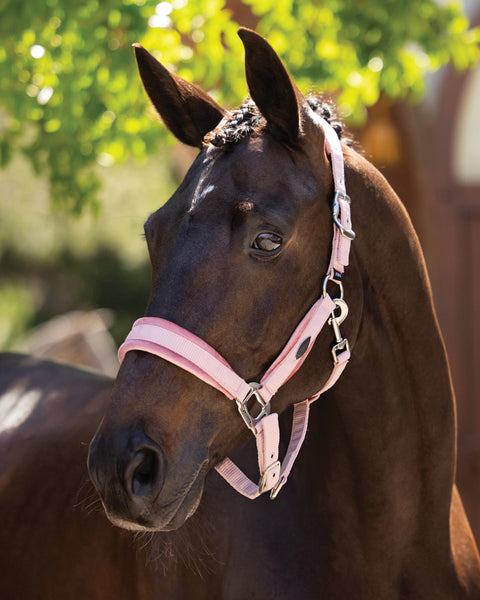 LeMieux® Versailles Halter