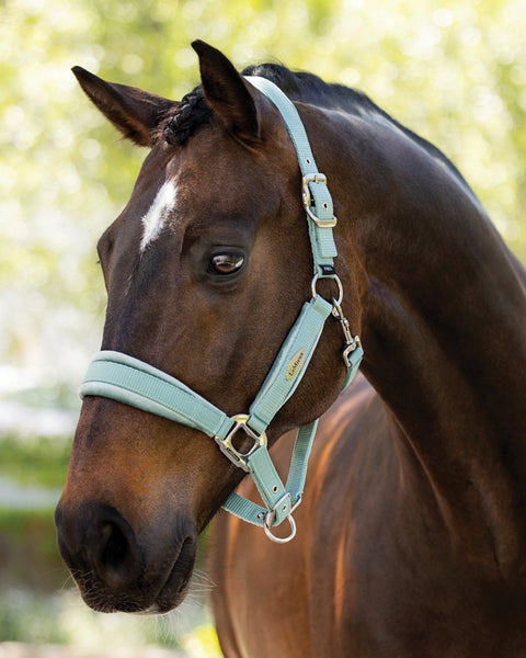 LeMieux® Versailles Halter