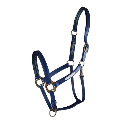 Equilibrium Stellar All-Weather Breakaway Halter