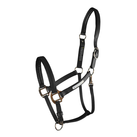 Equilibrium Stellar All-Weather Breakaway Halter