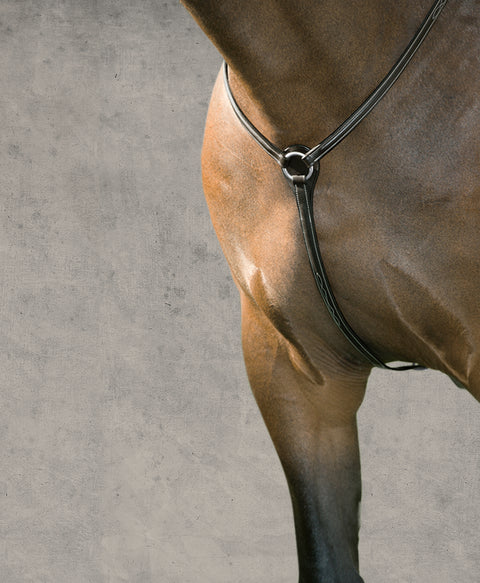 DS Hunter Breastplate