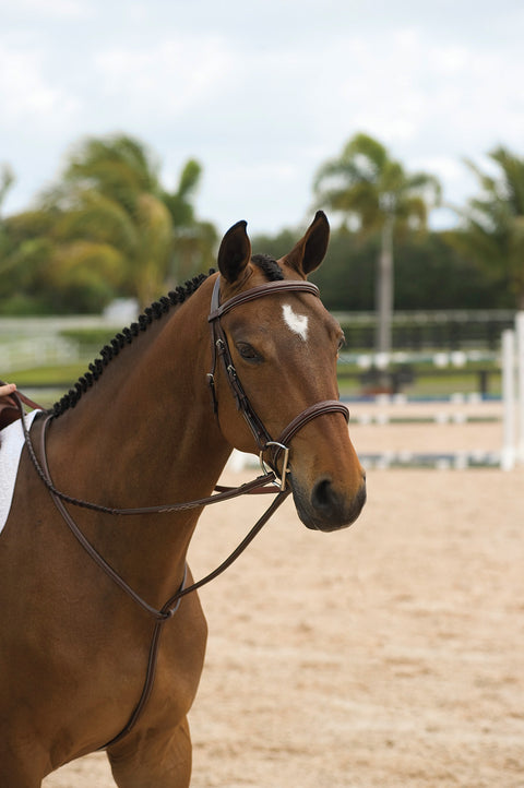 Dy'on® Standing Martingale