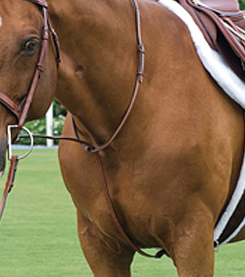 Rodrigo Raised Fancy Stitched Martingale
