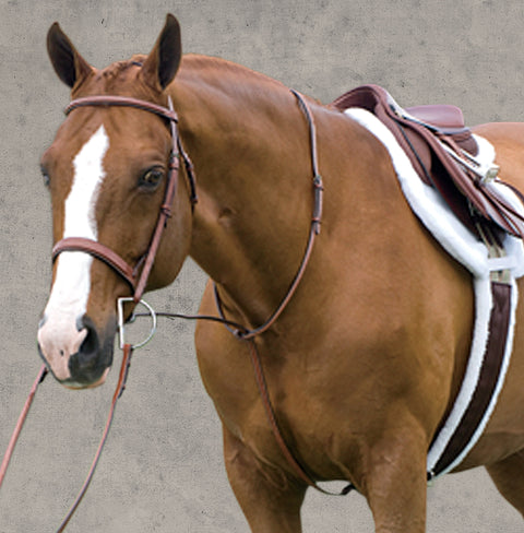 Rodrigo Raised Fancy Stitched Martingale