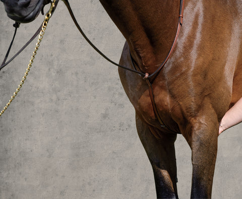 Suffolk™ Raised Standing Martingale
