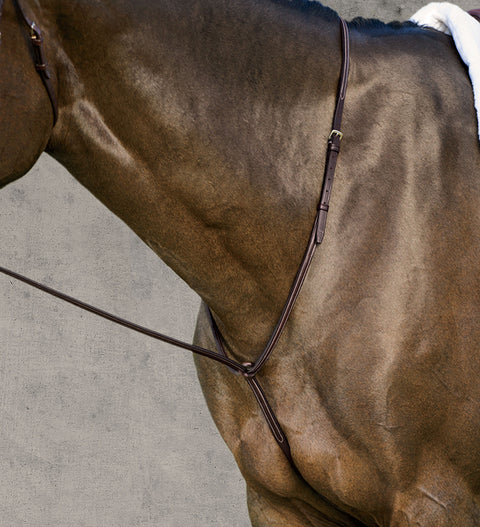 DS Plain Raised Martingale