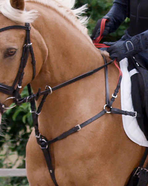 Waldhausen Secutrust Breastplate with Safety Reins