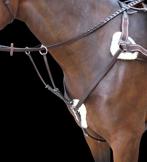 Shires Rossano Five-Point Breastplate