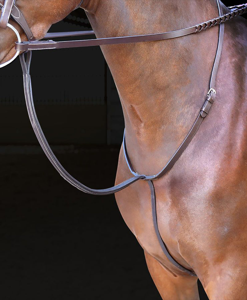 Horse Martingales & Breastplates