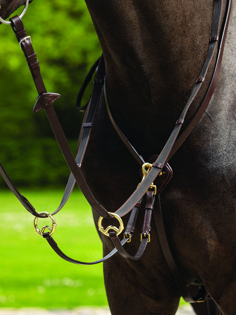 LeMieux® Kudos Running Martingale