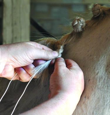 Braideez™ Braiding Wire