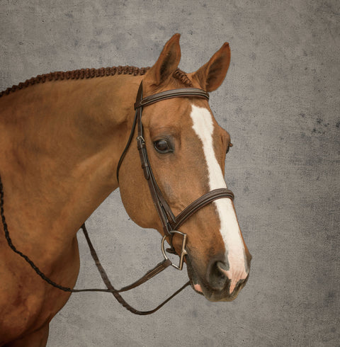 DS Hunter Bridle