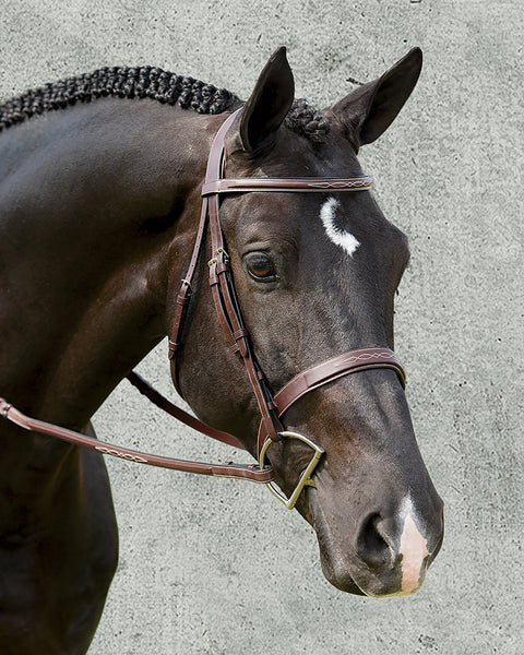 Dy'on® Wide Nose Hunter Bridle
