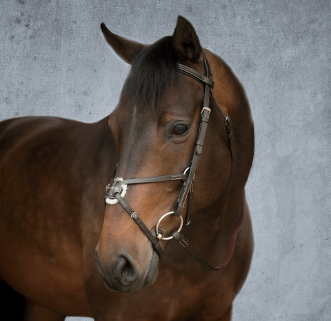 DS Figure-8 Bridle
