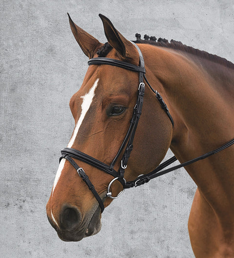 Ovation® Comfort Crown Dressage Bridle