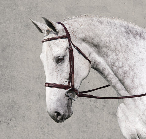 Rodrigo Classic Hunter Bridle