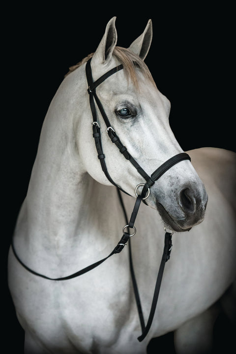 Dr. Cook's Beta BitlessBridle™