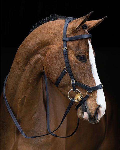 The Rambo® Micklem® Original Multibridle