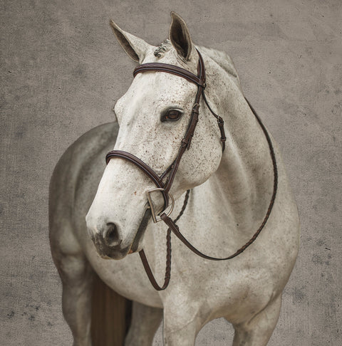 Henri de Rivel Pro Mono Crown Fancy-Stitched Padded Bridle with Laced Reins
