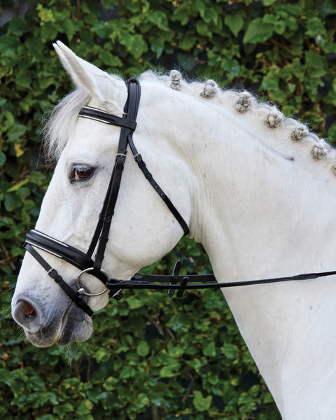 Suffolk™ Single Crown Padded Dressage Bridle