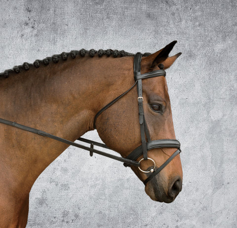 Suffolk™ Single Crown Padded Dressage Bridle