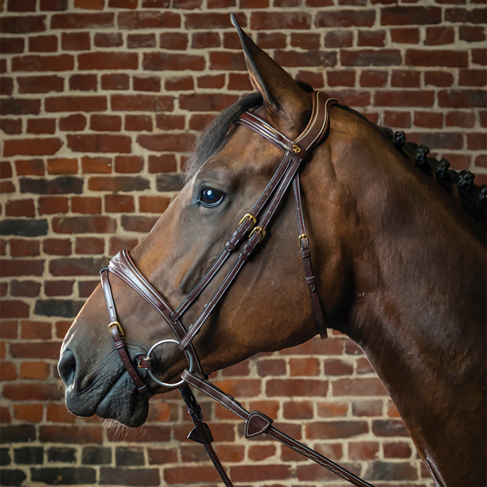 Ss Tack English Horse Tack & Equipment – Dover Saddlery
